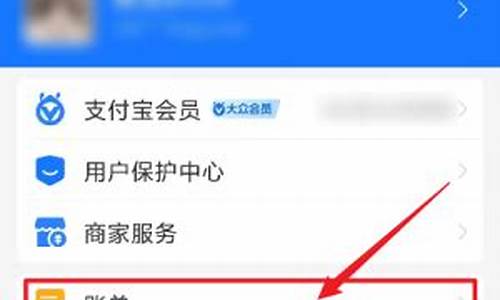 如何查询游戏充值总金额_如何查询游戏充值总金额和平精英